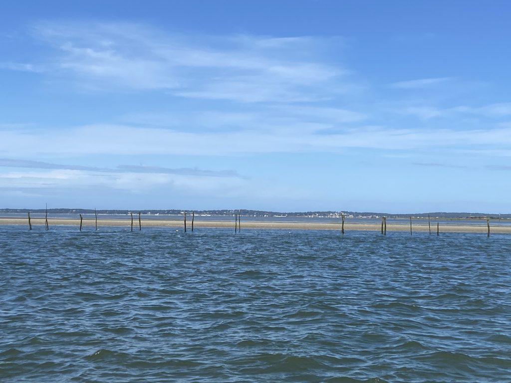 à coté de votre location maison au Moulleau, prenez le bateau pour visiter l'île aux oiseaux et les parcs à huitre du Bassin d'Arcachon