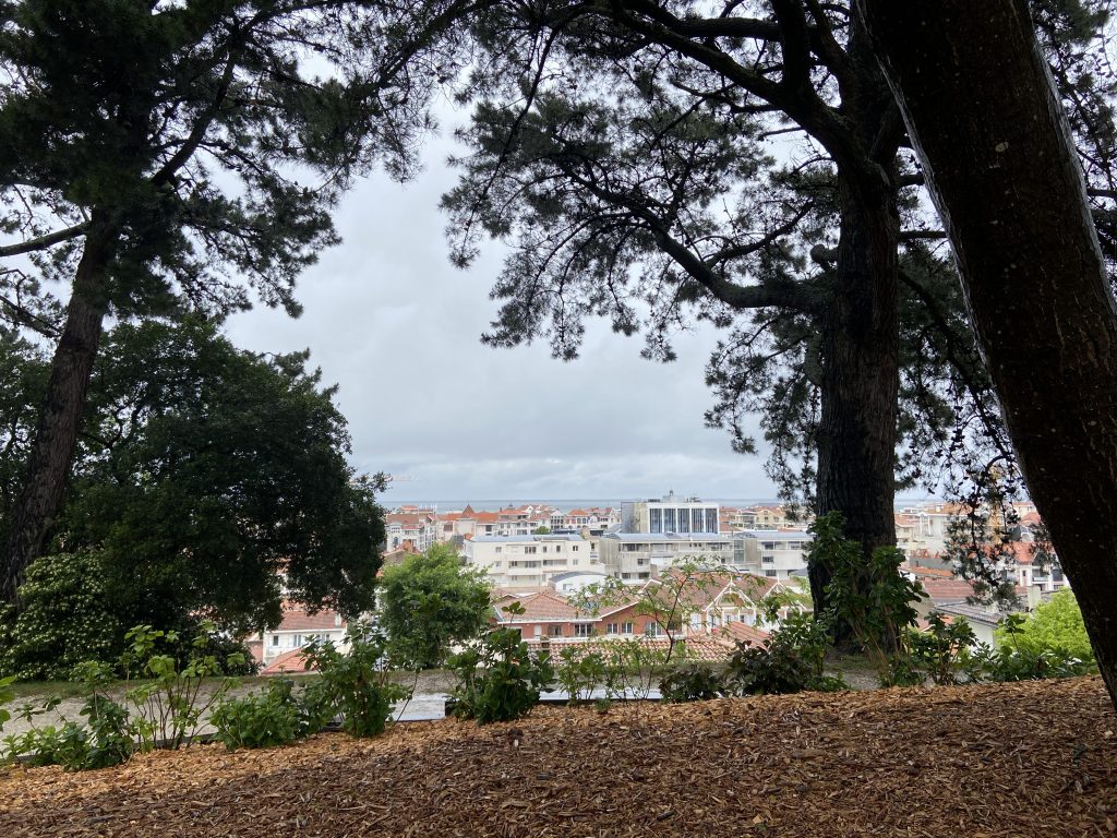 vue de la ville d'hivers