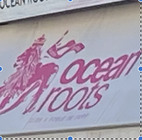 ocean-roots-ecole-surf-moulleau-arcachon