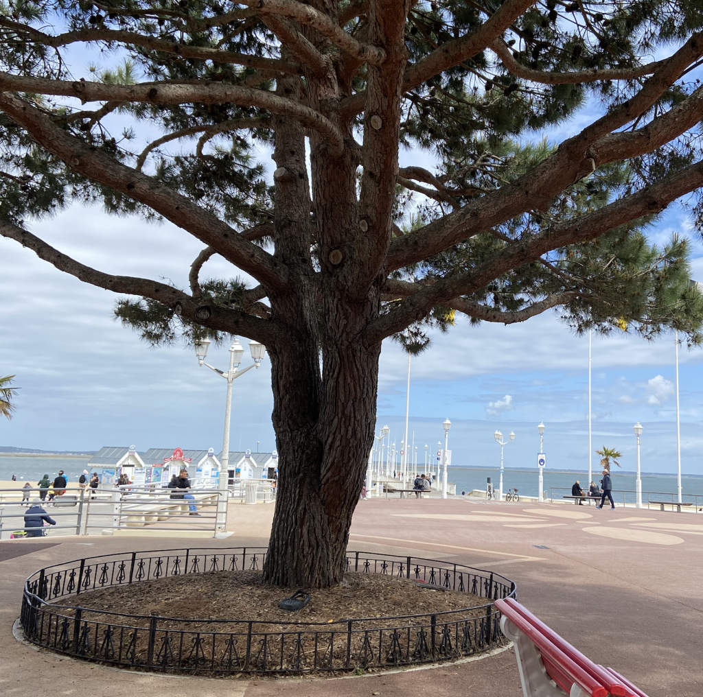 plage-arcachon-centre