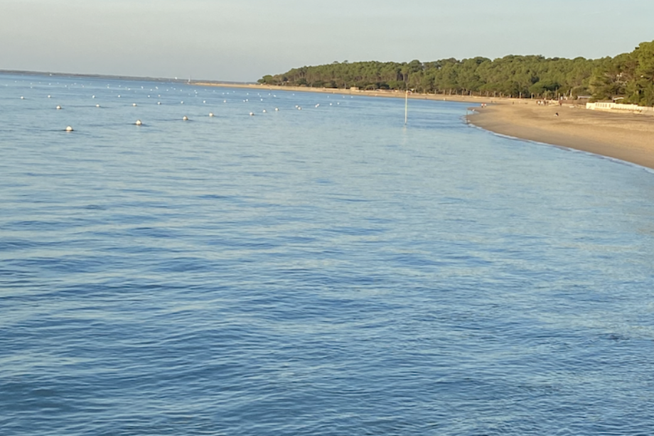 plage-arbousier-vue-moulleau